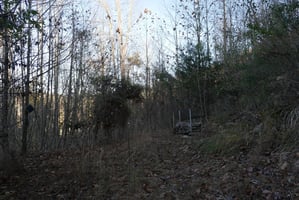 28756485