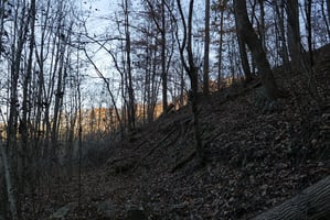28756521