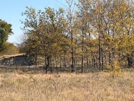 34003758