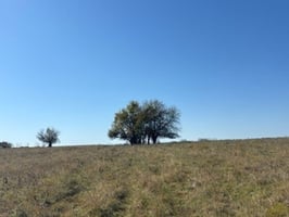34003761