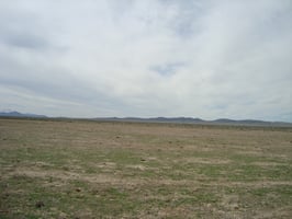 28771618