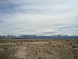 28771614