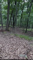 28832368