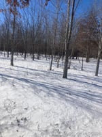 34404038