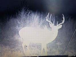 28791414