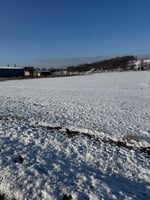 28798009