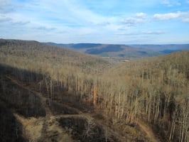 28840296