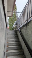 29634597