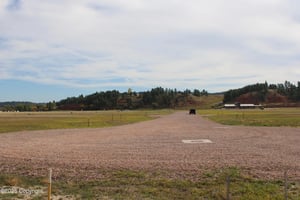 28850082