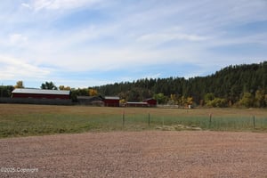 28849497