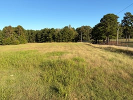 28850061