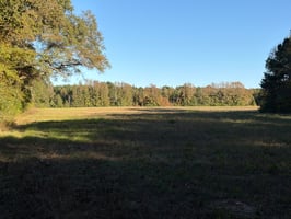 28850060