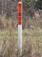 29876618
