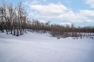 28883202