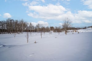 28883207