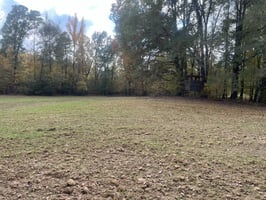 28860005
