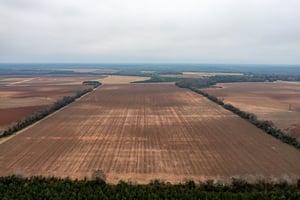 28862086