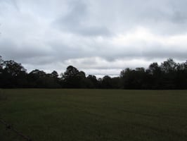 28867841