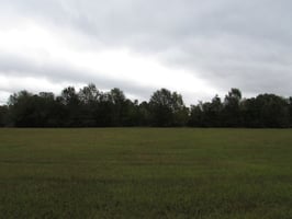 28867840