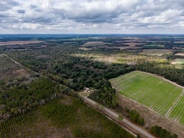 29173674