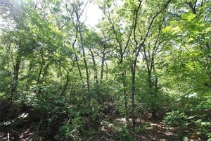 34620833