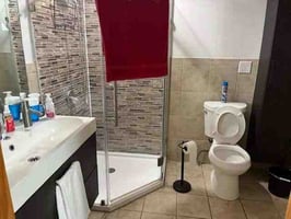 28873094