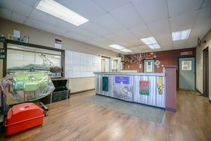 28873169