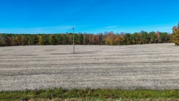 28875766