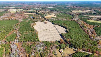 28876041