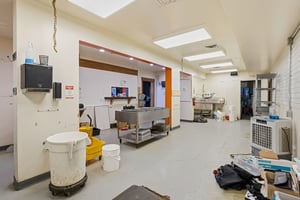 28894490