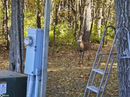 28887175