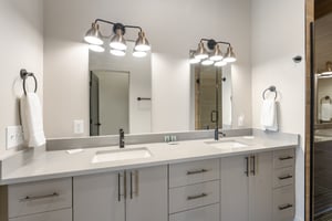 29521302