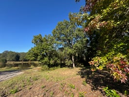 28894817