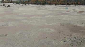 28898833