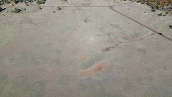 28898835