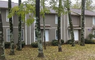 28989258