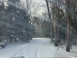 29085026