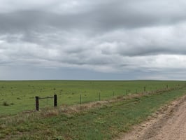 28914411