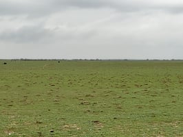 28914414