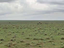 28914405