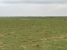 28914410
