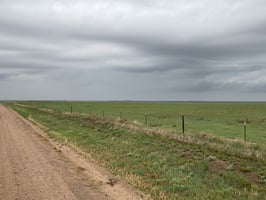 28914418