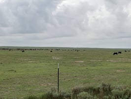 28914407