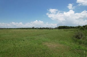 29450713