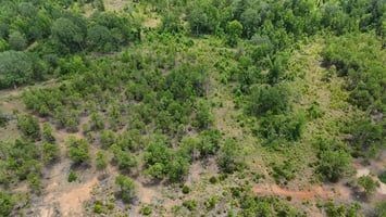 28921209