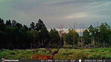 28923773