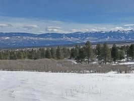 28923778