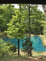 29457617