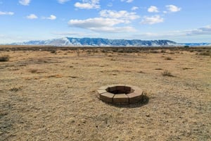 29457787