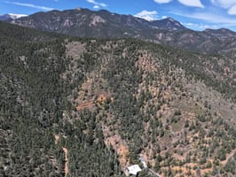 29457839